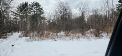 Great lot thats partially cleared and power at street - photo 4