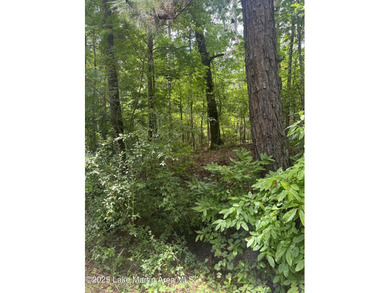 Lake Martin Acreage For Sale in Alexander City Alabama