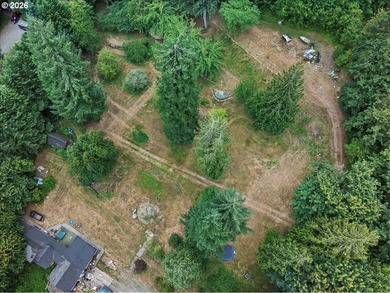 5 usable acres in Brush Prairie - flat, terraced, and ready to - photo 3