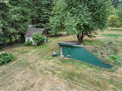5 usable acres in Brush Prairie - flat, terraced, and ready to - photo 4