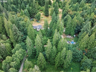 5 usable acres in Brush Prairie - flat, terraced, and ready to - photo 5