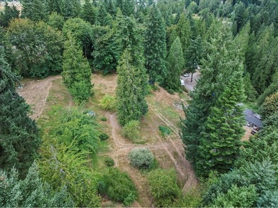 5 usable acres in Brush Prairie - flat, terraced, and ready to - photo 6