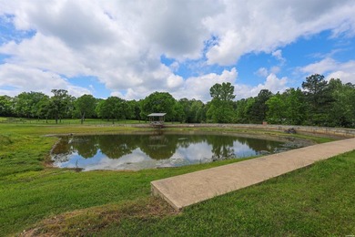 Lake life just got easier with this well-appointed condo - photo 47