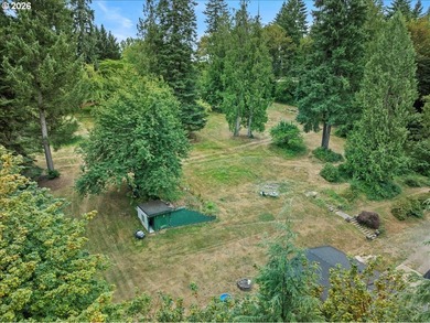 5 usable acres in Brush Prairie - flat, terraced, and ready to - photo 8
