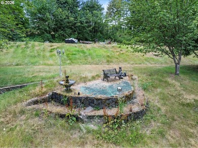 5 usable acres in Brush Prairie - flat, terraced, and ready to - photo 9