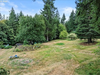 5 usable acres in Brush Prairie - flat, terraced, and ready to - photo 10