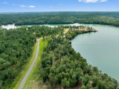 Slick Ford is one of the newest developments on Smith Lake - photo 4