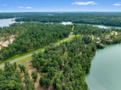 Slick Ford is one of the newest developments on Smith Lake - photo 5