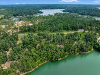 Slick Ford is one of the newest developments on Smith Lake - photo 6