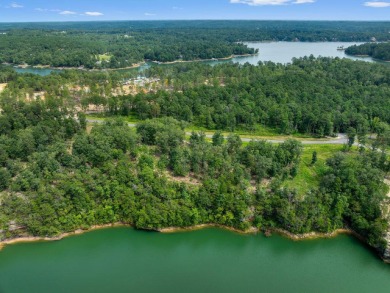 Slick Ford is one of the newest developments on Smith Lake - photo 7