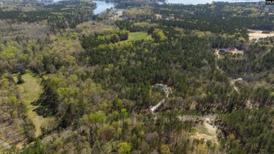 Privacy & Lake! 6.8 acres and a deeded boat slip on Lake Murray! - photo 16