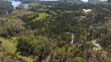 Privacy & Lake! 6.8 acres and a deeded boat slip on Lake Murray! - photo 17