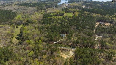 Privacy & Lake! 6.8 acres and a deeded boat slip on Lake Murray! - photo 18