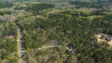 Privacy & Lake! 6.8 acres and a deeded boat slip on Lake Murray! - photo 19