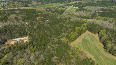 Privacy & Lake! 6.8 acres and a deeded boat slip on Lake Murray! - photo 20