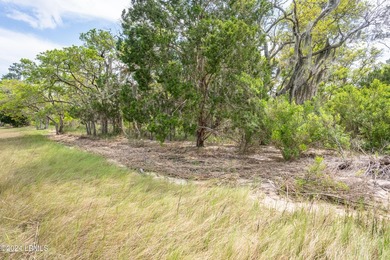 Nestled along the picturesque intercoastal waterway lies a rare - photo 22