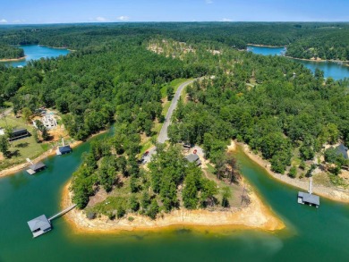 Slick Ford is one of the newest developments on Smith Lake - photo 3