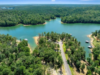 Slick Ford is one of the newest developments on Smith Lake - photo 4