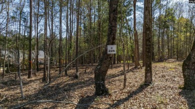 Privacy & Lake! 6.8 acres and a deeded boat slip on Lake Murray! - photo 28