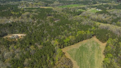 Privacy & Lake! 6.8 acres and a deeded boat slip on Lake Murray! - photo 29