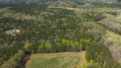 Privacy & Lake! 6.8 acres and a deeded boat slip on Lake Murray! - photo 30