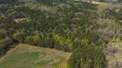 Privacy & Lake! 6.8 acres and a deeded boat slip on Lake Murray! - photo 31