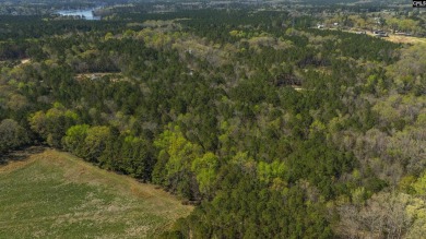 Privacy & Lake! 6.8 acres and a deeded boat slip on Lake Murray! - photo 32