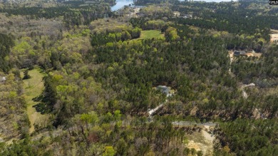 Privacy & Lake! 6.8 acres and a deeded boat slip on Lake Murray! - photo 34