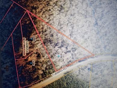 (private lake, pond, coastal) Home For Sale in Appling Georgia