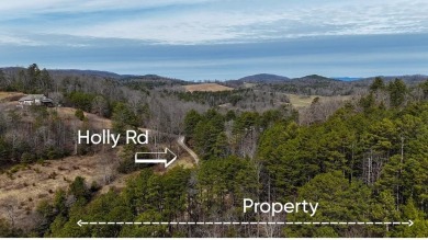Lake Hiwassee Lot For Sale in Murphy North Carolina