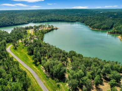Slick Ford is one of the newest developments on Smith Lake - photo 3