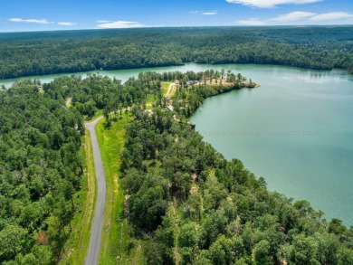 Slick Ford is one of the newest developments on Smith Lake - photo 4