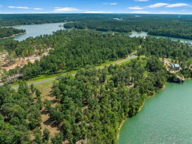 Slick Ford is one of the newest developments on Smith Lake - photo 6