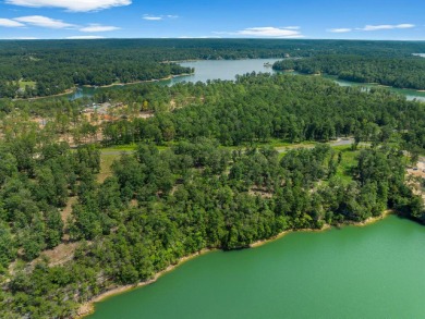 Slick Ford is one of the newest developments on Smith Lake - photo 7