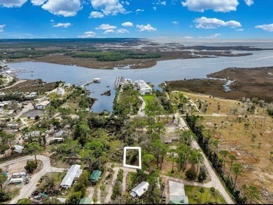 Welcome to this prime chunk of Florida paradise! This 3.03 acre - photo 11