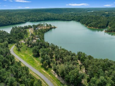 Slick Ford is one of the newest developments on Smith Lake - photo 3