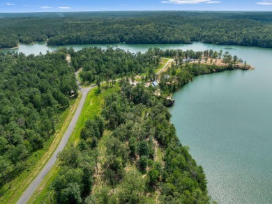 Slick Ford is one of the newest developments on Smith Lake - photo 4