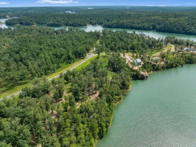Slick Ford is one of the newest developments on Smith Lake - photo 5