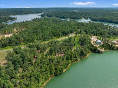 Slick Ford is one of the newest developments on Smith Lake - photo 6