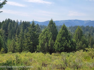 Lake Lot For Sale in Irwin, Idaho