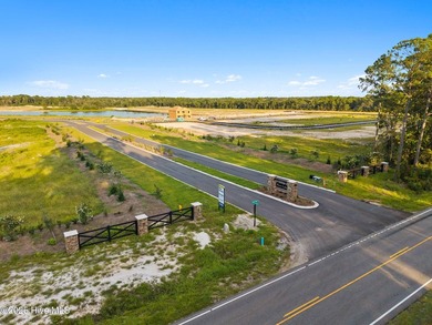 Coastal Space & Backyard Bliss Just Minutes from Holden Beach - photo 39