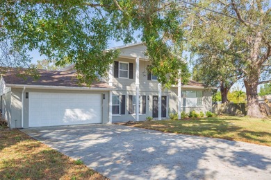 South Branch Manatee River  Home For Sale in Ruskin Florida