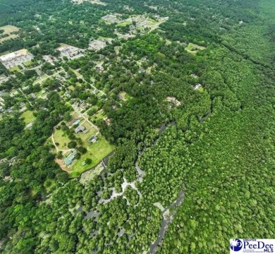 Prestwood Lake Lot For Sale in Hartsville South Carolina