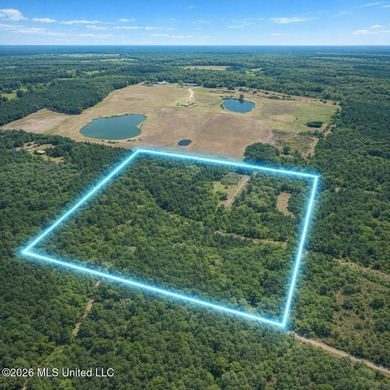 40 Acres Near Clark Lane - Gulfport, MS Rare opportunity to own - photo 1