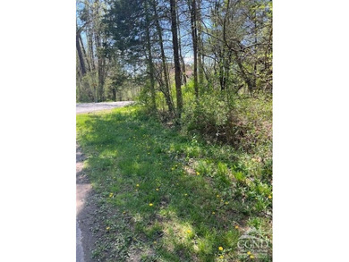 Sleepy Hollow Lake Lot For Sale in Athens New York