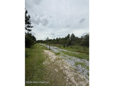 40 Acres Near Clark Lane - Gulfport, MS Rare opportunity to own - photo 2