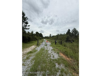 40 Acres Near Clark Lane - Gulfport, MS Rare opportunity to own - photo 3