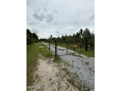 40 Acres Near Clark Lane - Gulfport, MS Rare opportunity to own - photo 4