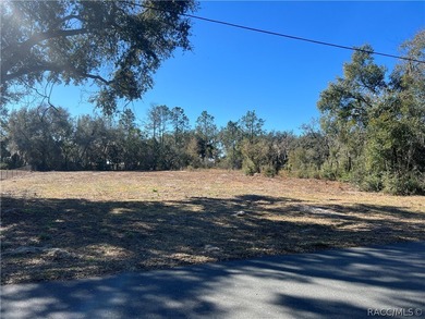 Lake Henderson Lot For Sale in Inverness Florida