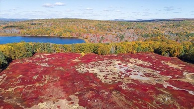 (private lake, pond, coastal) Acreage For Sale in Waldoboro Maine